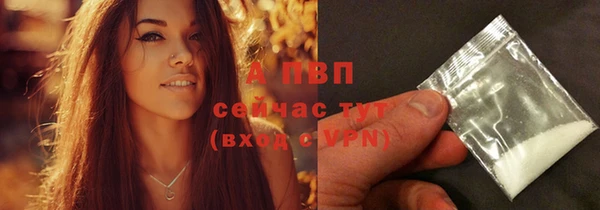 спайс Баксан
