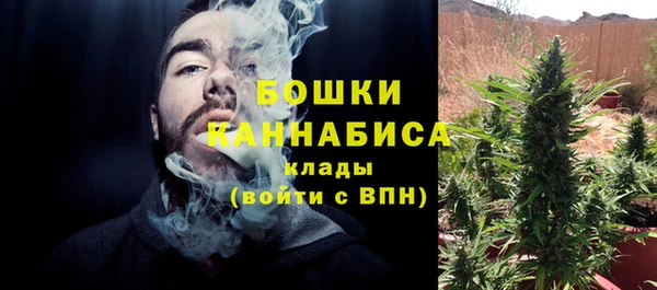 ПСИЛОЦИБИНОВЫЕ ГРИБЫ Сафоново