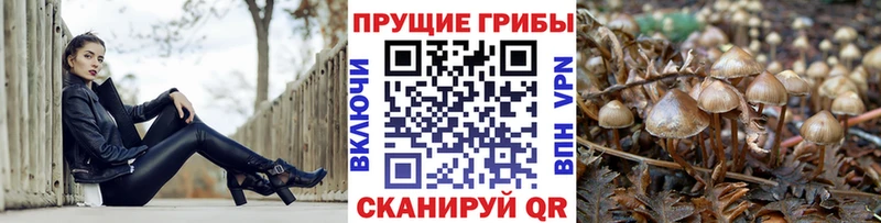 Псилоцибиновые грибы Magic Shrooms  кракен как войти  Ершов 